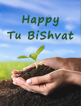 Happy TuBishavt english preview