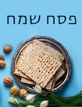 Passover Matzos hebrew preview