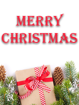 Wrapped gifts in snow preview