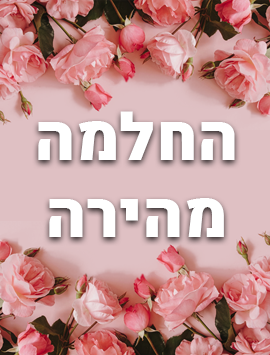 Get well flowers in pink preview heb