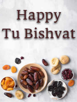 Tu bishvat dried fruit preview eng