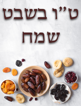 Tu bishvat dried fruit preview heb