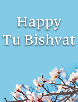 haooy tu bishvat Almond tree blossom preview eng v2