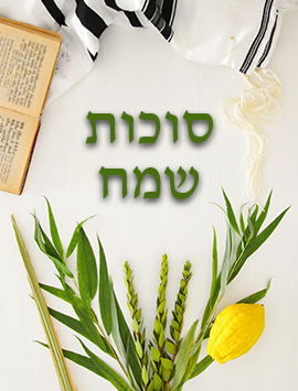 white sukkot preview heb