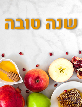 shana tova ion gray marble preview eng